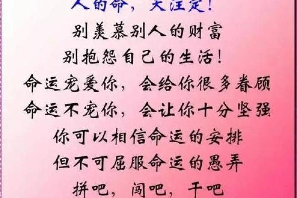 玫瑰命与天鹅命：两种命运的美丽与启示