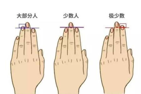 手长的女生代表什么命运？解密掌中之道与她们的未来