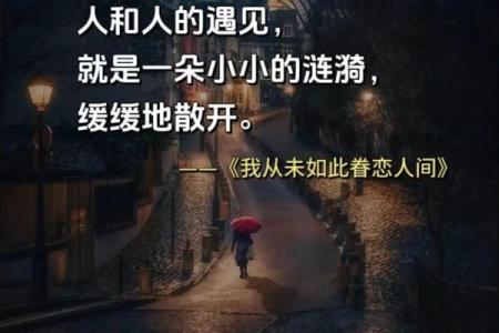 命里缘分渐行渐远，爱与人生的诠释与思考