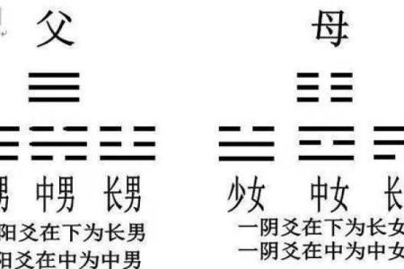 六月二十九出生女孩命运解析:智慧与魅力并存的星辰之女