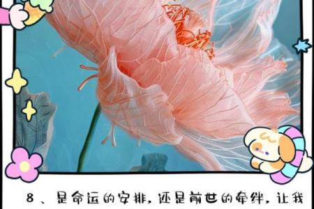 命里要契人,解读命运中的缘分与心理深意