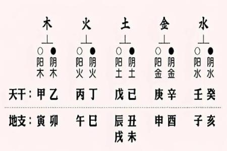 女命偏财解析：解读偏财在女性命理中的重要性与意义