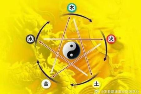 命局缺水缺木：如何理解与调节生活中的能量平衡