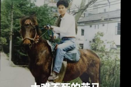 六六年出生的马:命运与性格的奇妙探讨