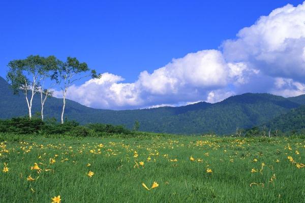 五行缺木的命格：适合的颜色与生活启示