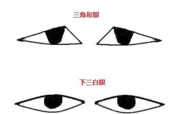探究男命财官：解读男人命理中的财富与职官关系