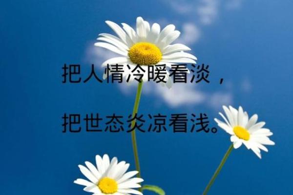 探秘女孩杨柳木命的命理特征与人生旅程