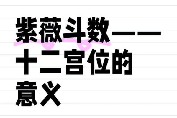 探索命盘兄弟宫的深层含义与影响