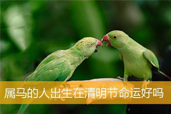 农历三月初六出生的女生命运解读与性格特点