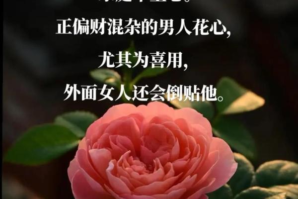 男人长女人手，揭秘命理背后的神秘寓意