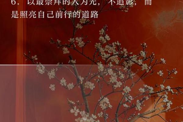 女命胜男命：解密女人独特的命运与力量