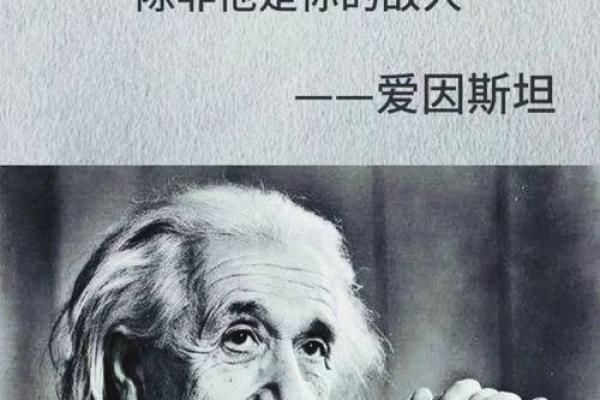 命也看淡了：人生哲学与智慧的领悟