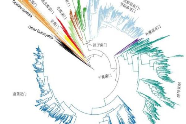 探索平地木命格：生命之树的成长与挑战