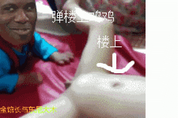 楼宿之鸡男命的象征意义与人生启示