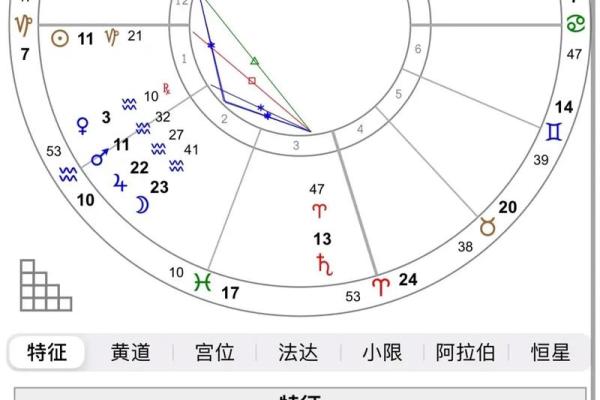 命主与命格的区别：揭示命理背后的秘密与智慧