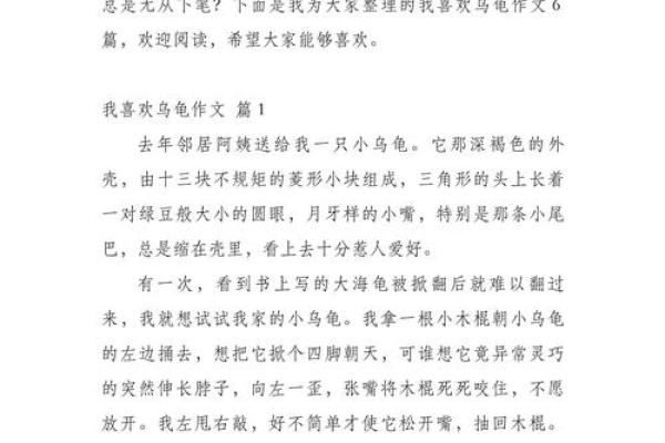 解析命带乌龟的深意与人生启示
