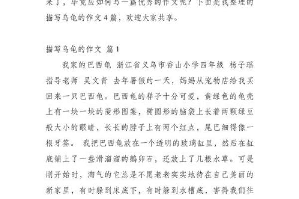 解析命带乌龟的深意与人生启示