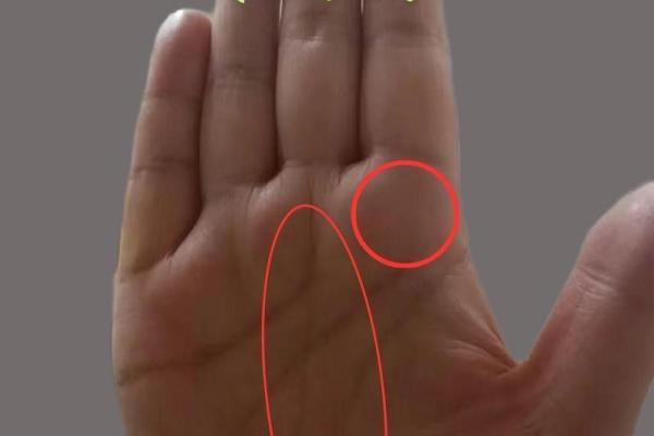 女生右手心有痣的命运解析：她们的人生秘密与情感隐秘