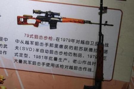 狙击手:为何一枪一命成就传奇与责任的交织