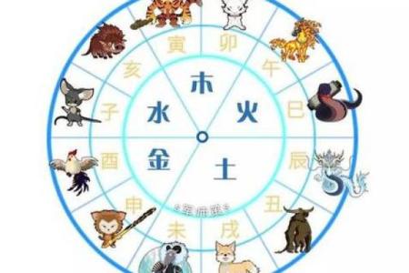 探秘老鼠类五行属性:从命理角度看鼠年命运