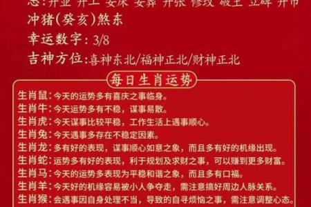 探索1996年属猪人的五行命理与性格特点