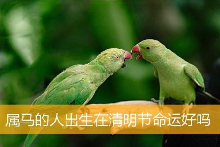 农历三月初六出生的女生命运解读与性格特点