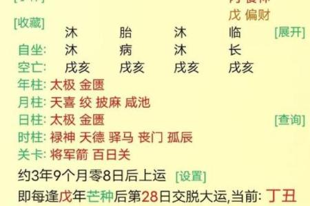 探秘八字命理：女命正官为甲木的深层含义与人生启示