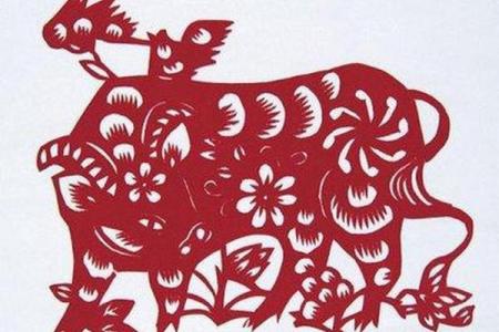 牛年生人：踏实稳重的命运与人生启示