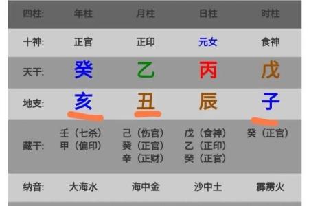 命局与本命局的深刻区别及其对个人命运的影响解析