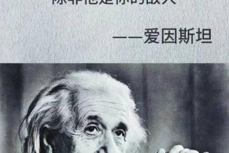 命也看淡了：人生哲学与智慧的领悟