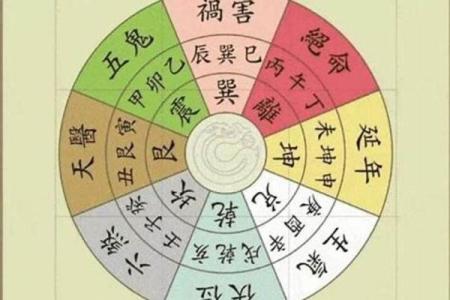 平地木命与火命的最佳结合:让生命的色彩更加斑斓