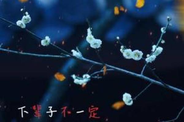 男命爱妾不爱妻的深层解析与情感故事