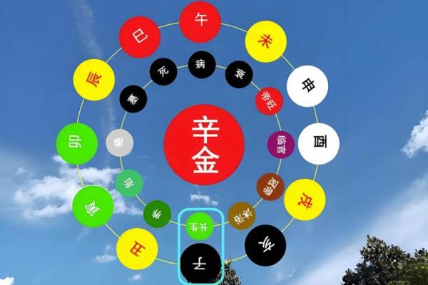 女人金命嫁丈夫需知：命理相合兴家运，幸福永相伴！