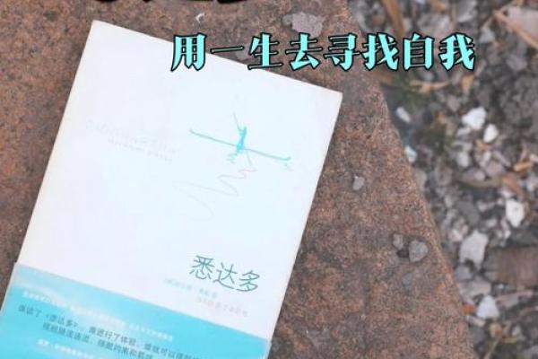忙命天涯：在纷繁世界中寻找自我与内心的宁静