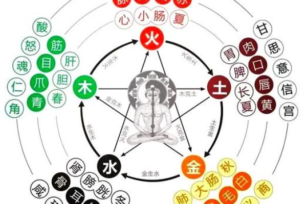 九月出生的人五行属性解析：命运与性格的奥秘