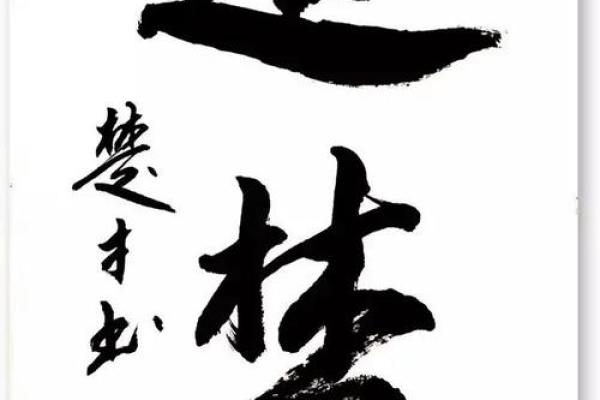 关于“我命好”的思考：命运与努力的平衡艺术