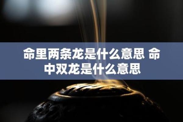探讨“你是有两条命吗？”：人生的选择与挑战