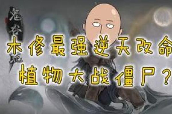 逆天改命：在木修中如何选择最佳道路与秘籍！
