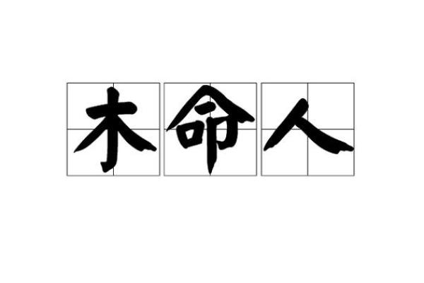 探索木命之人：适合的发展方向与职业选择