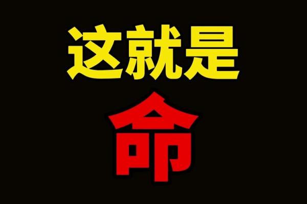 命挂离命：深入探究命理与人生的微妙关系