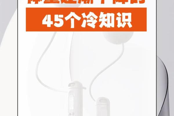 探索冷命器的奥秘：铸就那冰冷与温暖之间的平衡