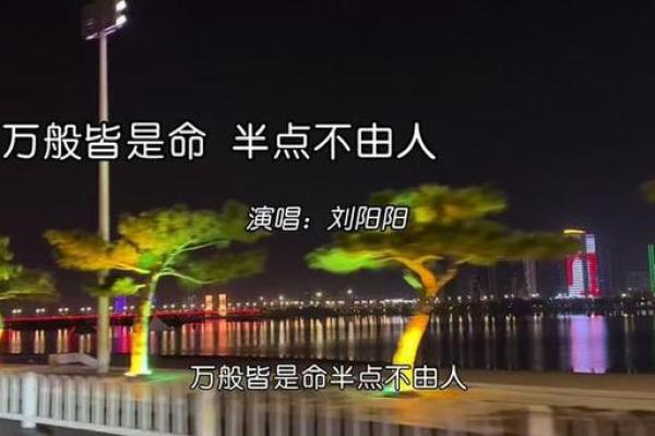 命里都是女孩，这究竟是什么样的命运？