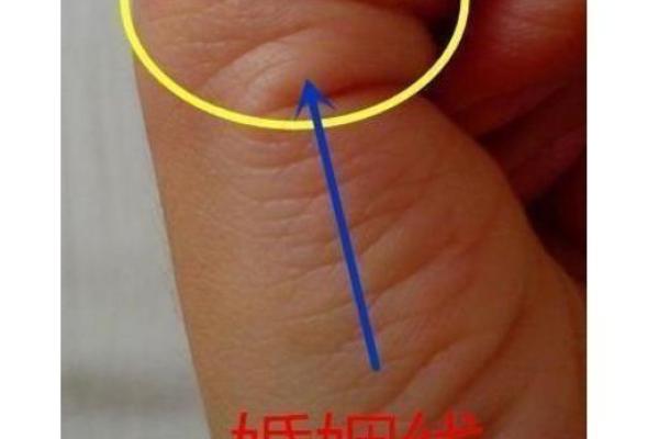 年运天喜如命，命理学中的幸福之道