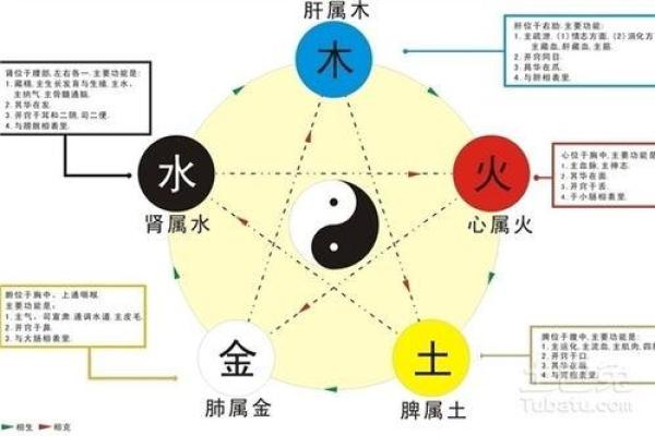 缺水命理对人生的影响与应对策略