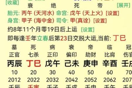 命理丙申:勇敢追梦、抗压能力强的命格解析