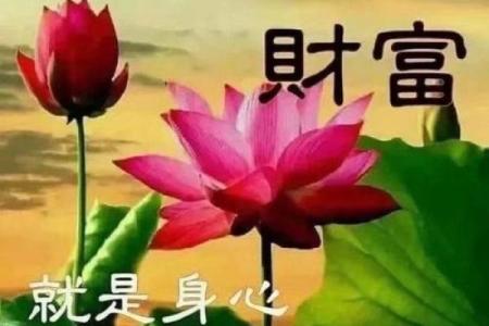 阴历九月初九的命理解析与人生启示
