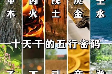 探索五行命理:如何通过免费查五行属相,了解你的命运与个性