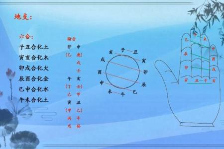 命理克伤之谜：揭秘哪些生肖在命理中容易受克伤