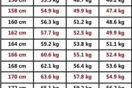 揭秘女性命理与体重管理：哪些命格容易偏胖？