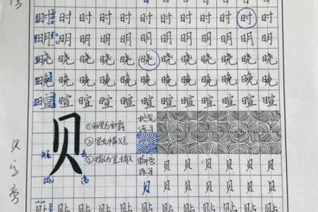 探索“命”的奥秘：了解命字的部首与结构背后的故事